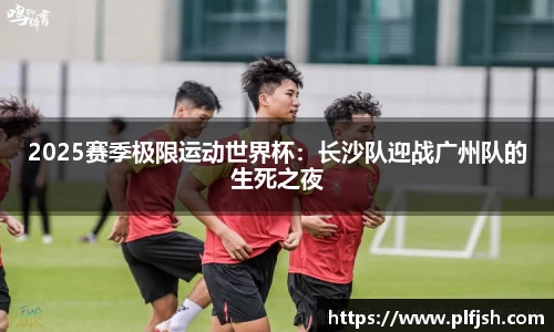 DG视讯平台