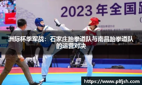DG视讯官网